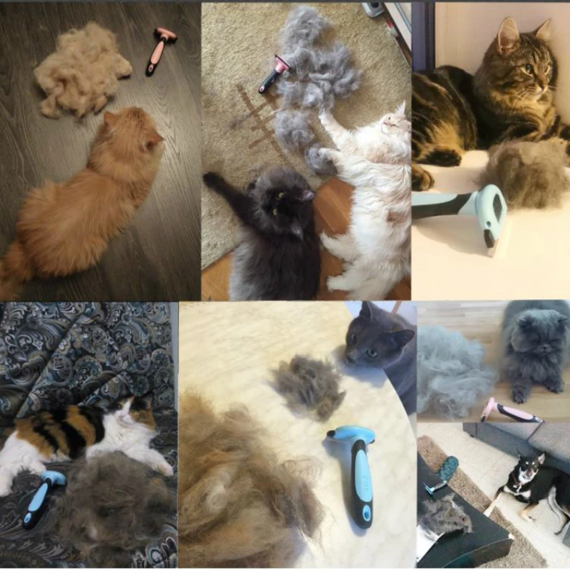 Расчески собака для удаления волос Cat Уход за щеткой Инструменты съемная щетка
