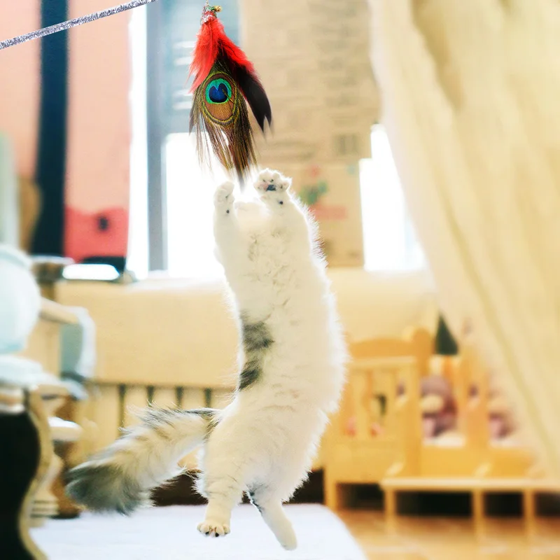 Игрушка прорезыватель для кошек перо 3 сменных съемных интерактивных тренажера