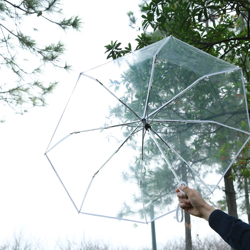 Новый прозрачный Солнечный зонт с листьями Женский Зонт от дождя