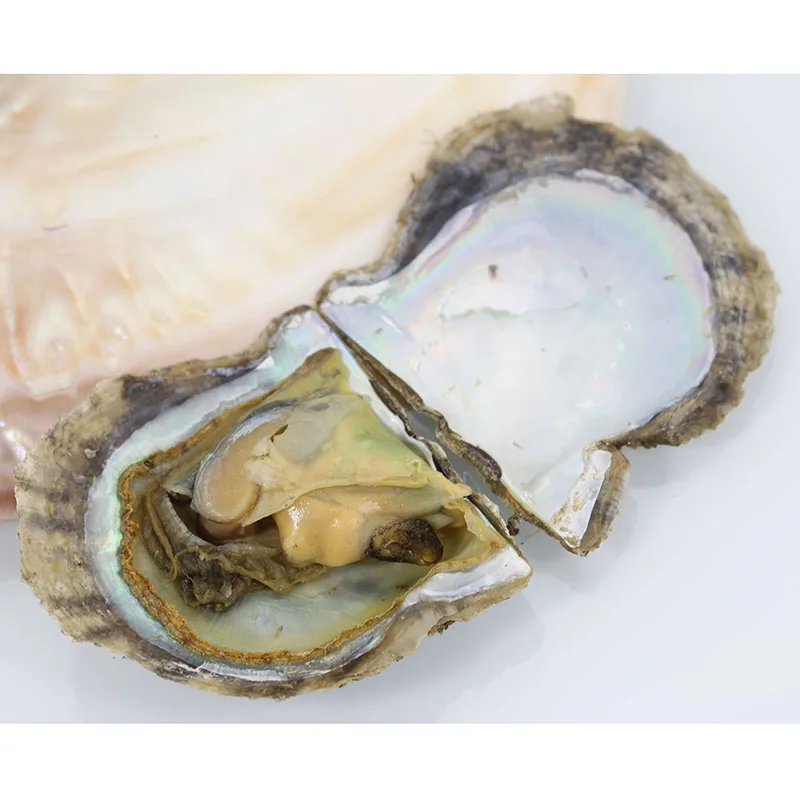 20 шт. пресноводные устрицы вакуумная упаковка жемчужины Oyster Love Wish AAA 6 7 мм для