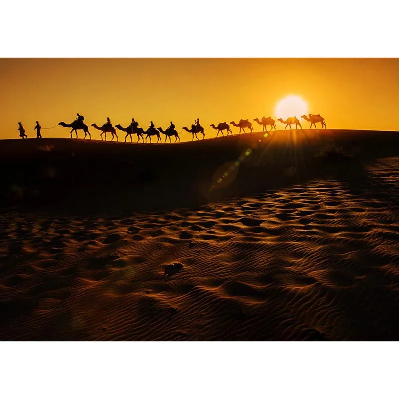 Алмазная вышивка ходячая пустыня квадратные/круглые стразы | Дом и сад