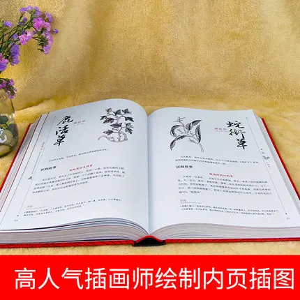 Shan hai jing истории бессмертных инопланетян Демонов и монстров Рисование