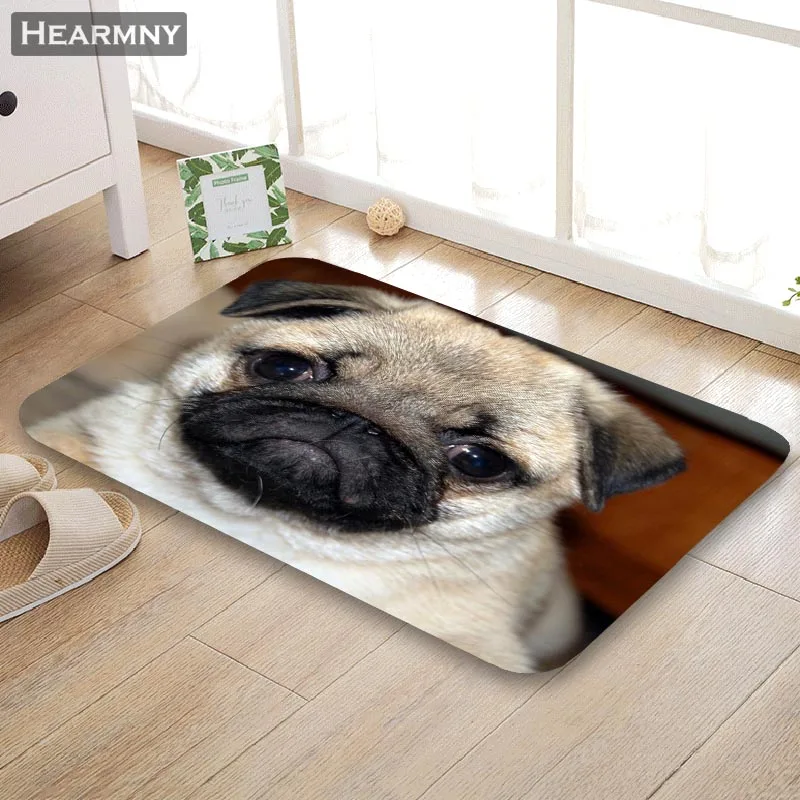 

Customizable Pug Doormat Floor/Bath/Kitchen/Beach Mat Flannel Sponge Fabric 3D Printed Shaggy Decoration For Bedroom