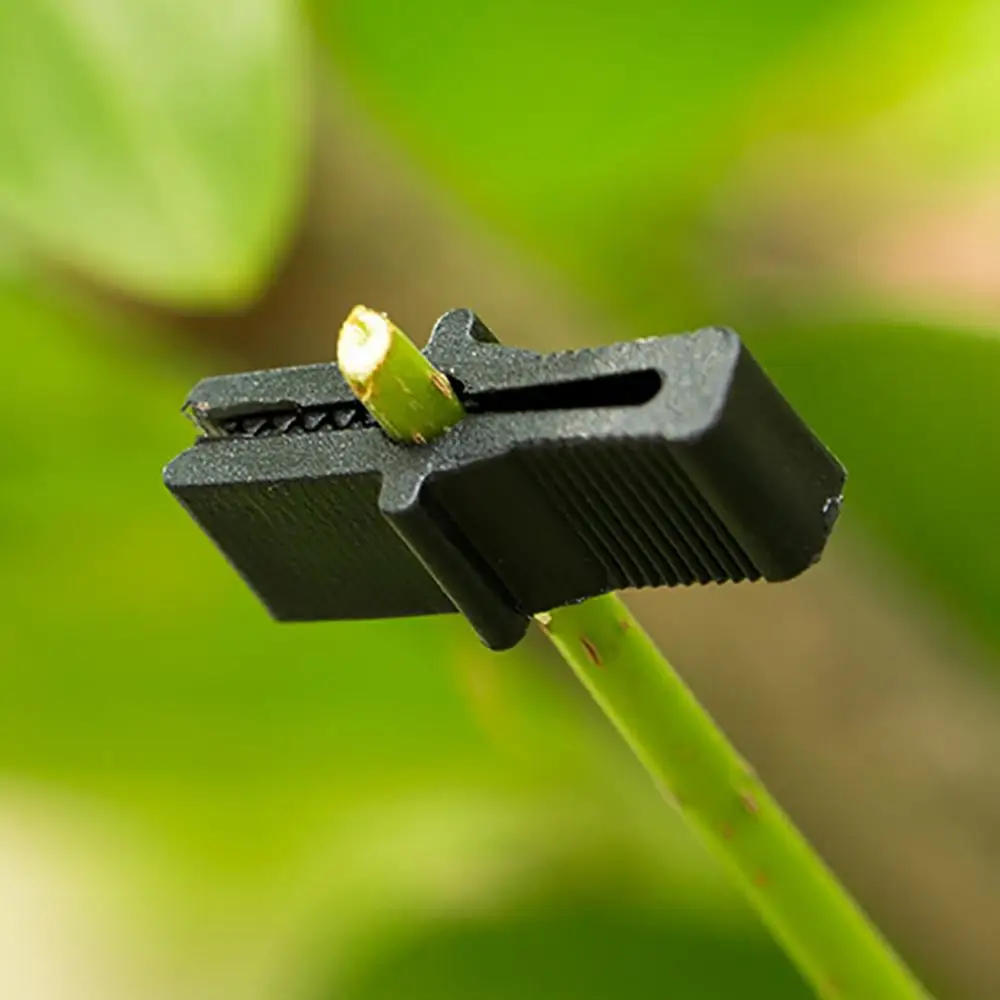 100pcs Grape shelter shed film zipper clip plastic fixed fruit tree greenhouse black @16 | Дом и сад