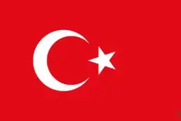 

Turkey Flags Wholesale Lot of 10 PCS National Polyester Banner150* 90cm 3ft x 5ft All over the world outdoor