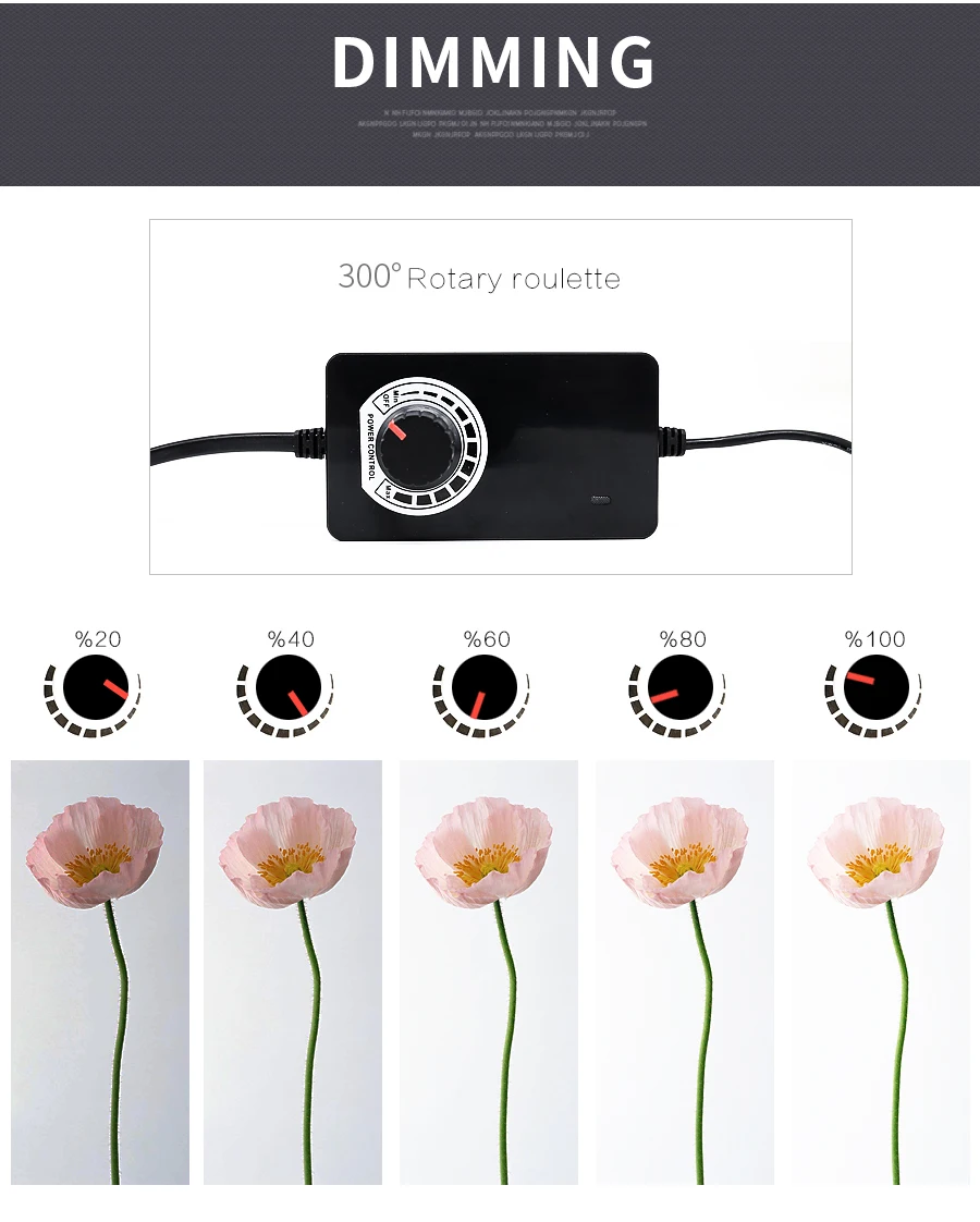 freeshipping 60cm LED Photo Studio light tent Tabletop Shooting SoftBox lightbox Dimmer switch AC adapter for Jewelry | Электроника
