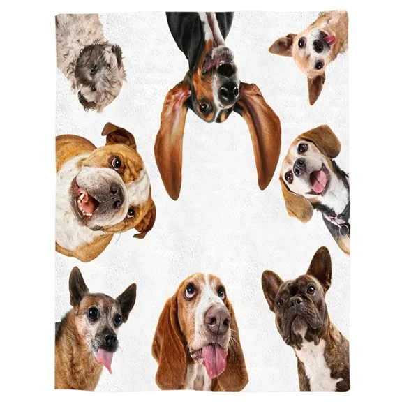 LEX00302 Jolly Corgis в зеленом пледы одеяло, домашнее украшение собака и Кость Теплый микрофибры одеяло s для спальни - Цвет: LEX00302