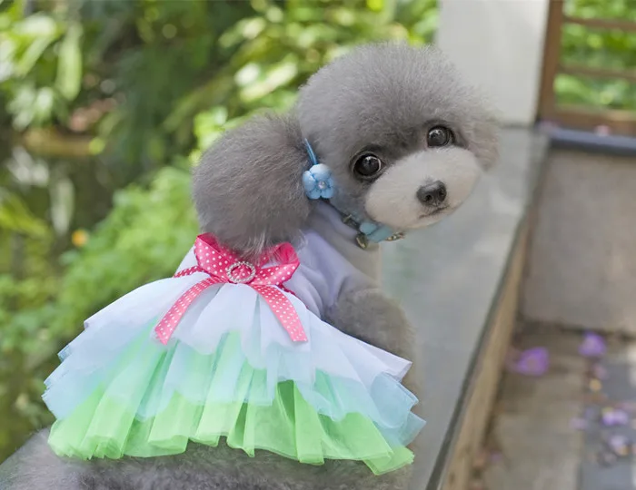 2015 высокое качество модная летняя одежда сезон лето платье с изображением собаки