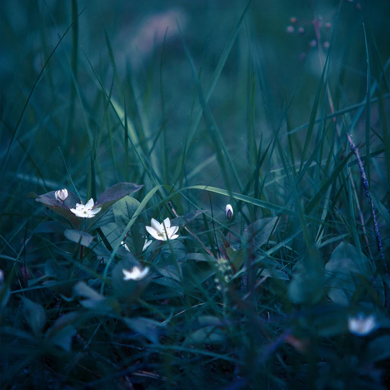 Аксессуары для хрустального шара | Дом и сад
