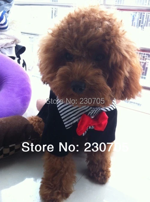 Официальный домашнее животное собака щенок одежда западный стиль костюм галстук