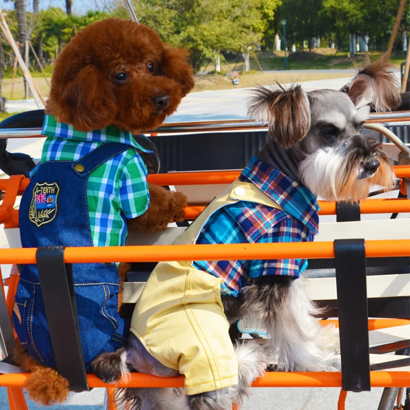 Новый бренд! Комбинезон для домашнего животного. Джинсовый комбинезон из 100%