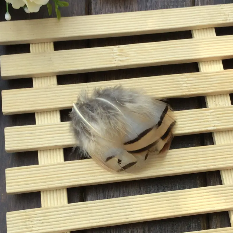 Wholesale 50pcs/lot 2-10cm Turkey Pheasant Feather Party Holiday Hat Necklace DIY Craft Clothing Decoration | Дом и сад