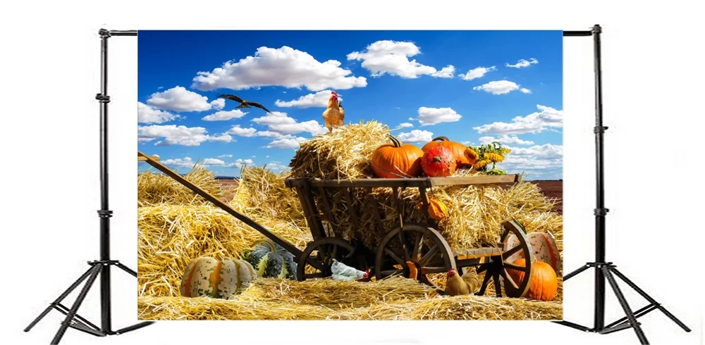 Laeacco ферма сено стек тыквы курица осень голубое небо живописные фотографии фоны