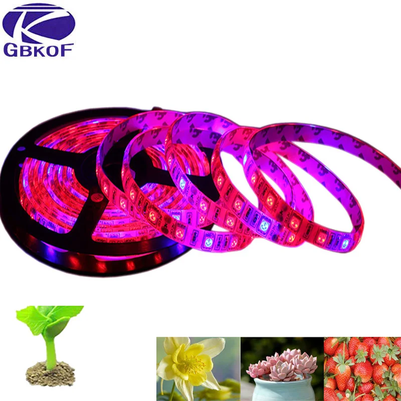 GBKOF 5 м светодиодный завода растут полосы светать Водонепроницаемый 5050 SYD Hydstems
