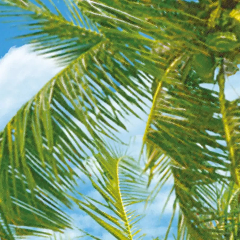 Фотообои 3D морские фотообои для гостиной ресторана фоновая стена кокосовый пляж