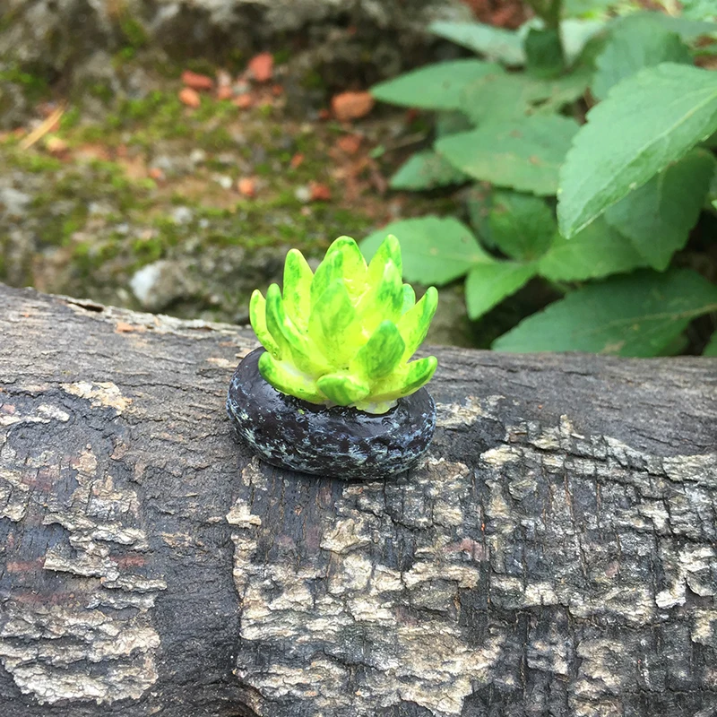 Мини микро мир бонсай сад сделай сам орнамент декоративный пейзаж домашний Декор