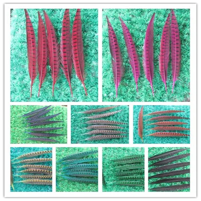 Оптовая продажа 100 шт. красивых фазанов Необычные Длинные украшения 12 14 дюймов 30 35