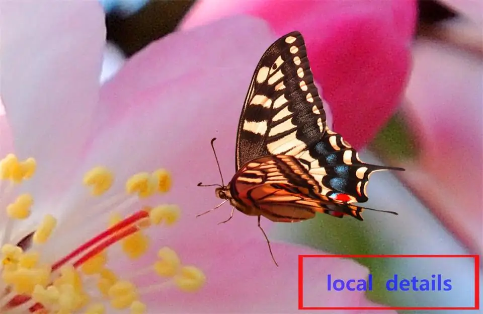 3d фотообои на заказ Потолочная гостиной настенная Весенняя Цветочная бабочка