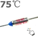 65C~ 285C 70C 84C 100C 130C 145C градусов по Цельсию 10A 250V микро мини электрический Термальность предохранители Температура предохранитель Термальность отсечки