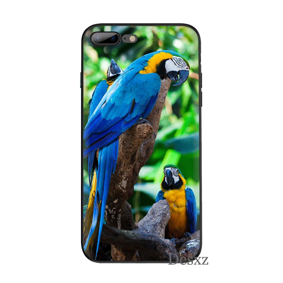 Черный мягкий ТПУ чехол для iPhone 11 Pro 5 5S SE 6 6s 7 8 Plus X XS XR Max|Чехлы-накладки| |