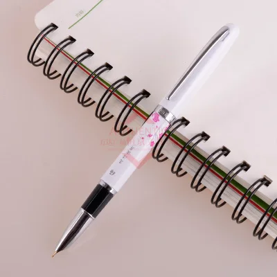 Герой классический синий и белый фарфор 9651 Иридиум авторучка цветок сливы