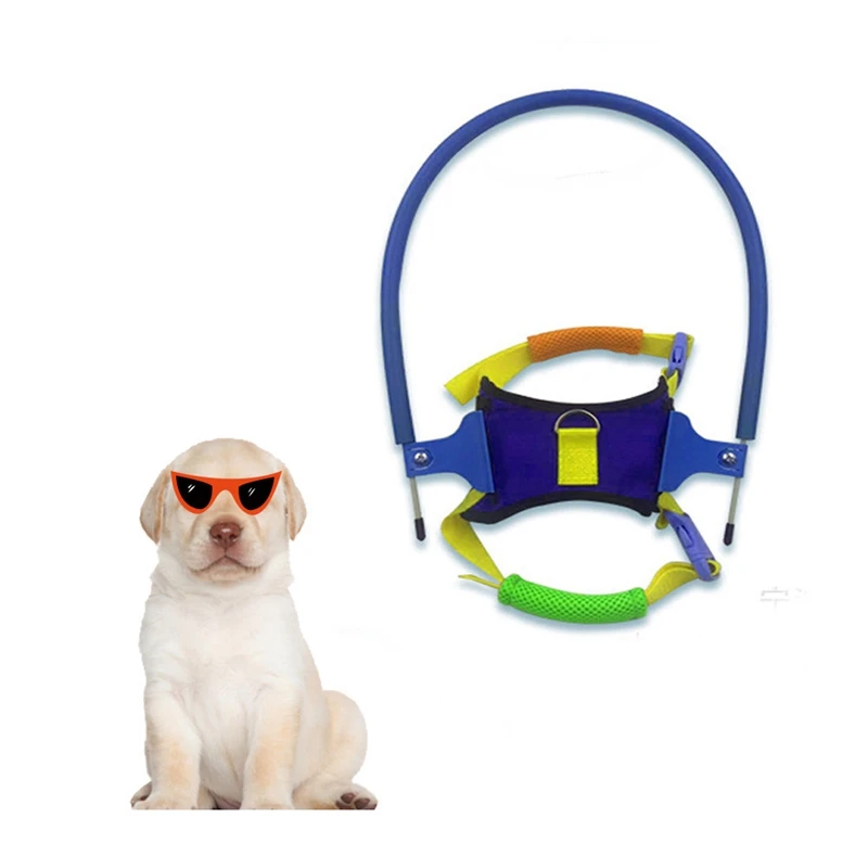 Pet Safe Halo защита от столкновений поводок для слепых собак Кольцо питомцев животных