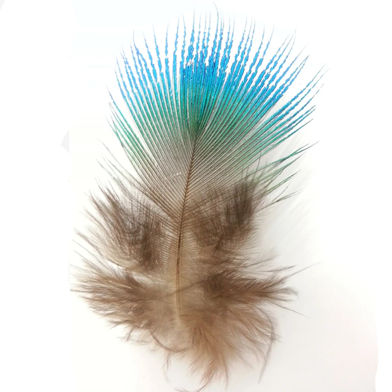 

Samba 10Pcs/lot Natural Blue Peacock Feathers 3-7cm,Wholesale Sale Bulk Cheap Household DIY Wedding Decoration Crafts 26