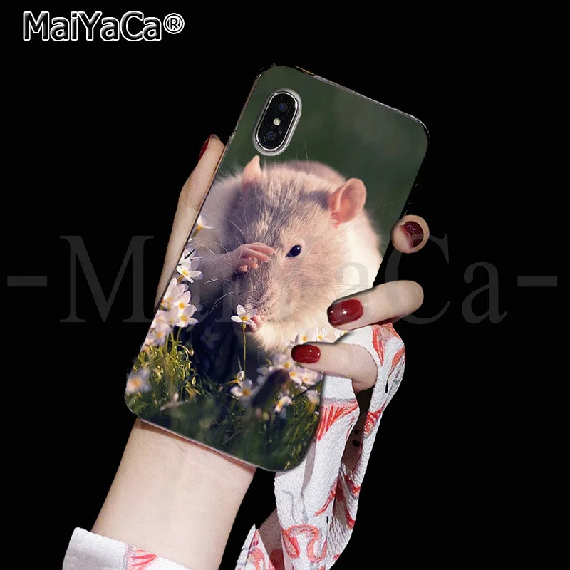 5 Чехол для телефона MaiYaCa с милыми животными, крысами, едой, милыми аксессуарами, чехол для Apple iPhone 8, 7, 6, 6S Plus, X, XS, max, 5, 5S, SE, XR - Цвет: 5