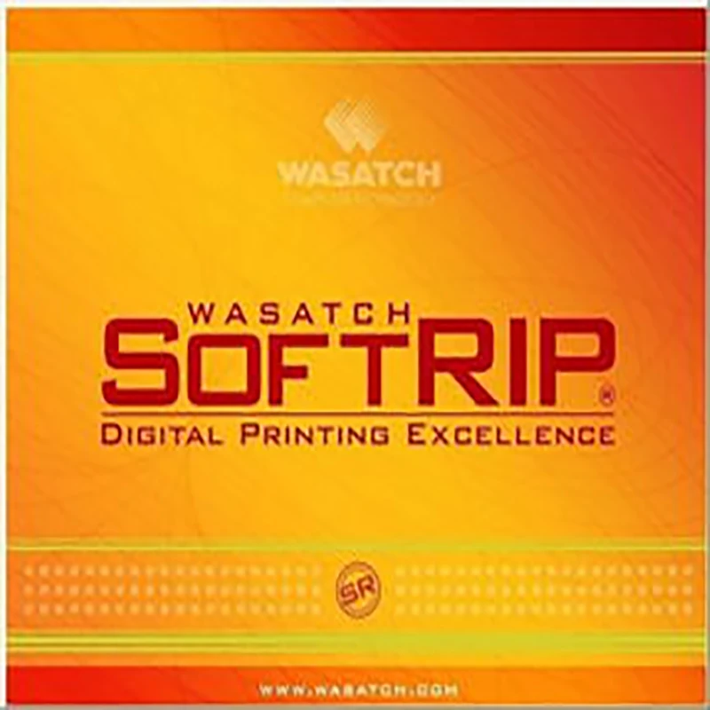WINNERJET ключ ключа для Wasatch Softrip струйного принтера|Детали принтера| |