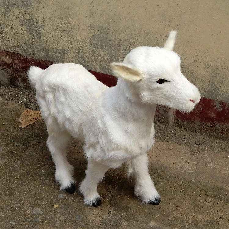 Prix chèvre en peluche