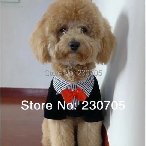Официальный домашнее животное собака щенок одежда западный стиль костюм галстук