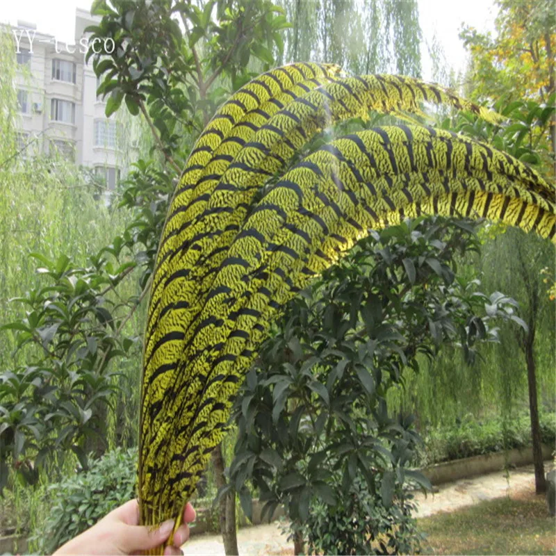 

20pcs 32-36 inche/80-90cm yellow Lady Amherst Pheasant Feather pheasant feathers for carnival party costumes cosplay decoration