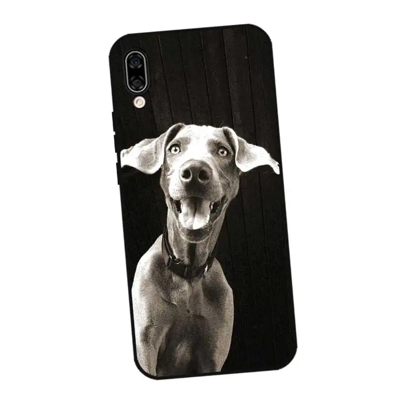 N463 Weimaraner Черный силиконовый чехол Обложка для huawei Honor 6A 6C 6X 7C 7X8 Lite рro |