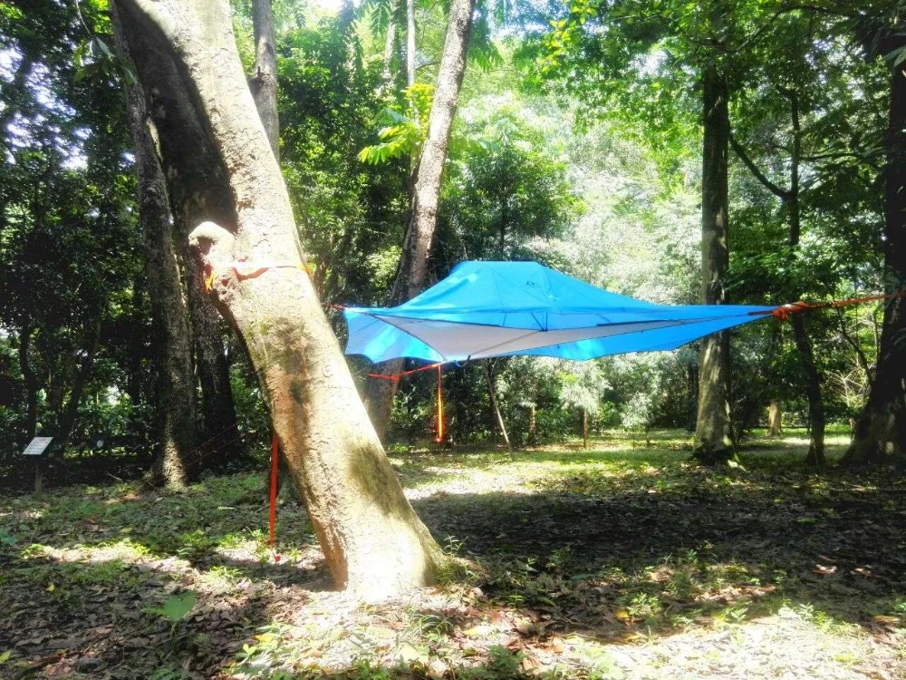 Открытый Кемпинг Приключения палатки москитные сетки гамаки подвесные висит