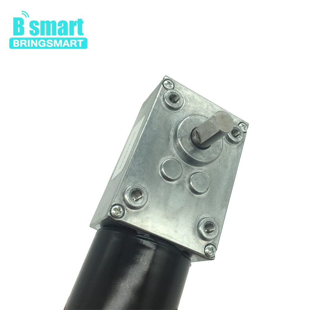 Bringsmart 5840 3650 бесщеточный двойной вал 12В 24В DC турбо червячный редуктор мини