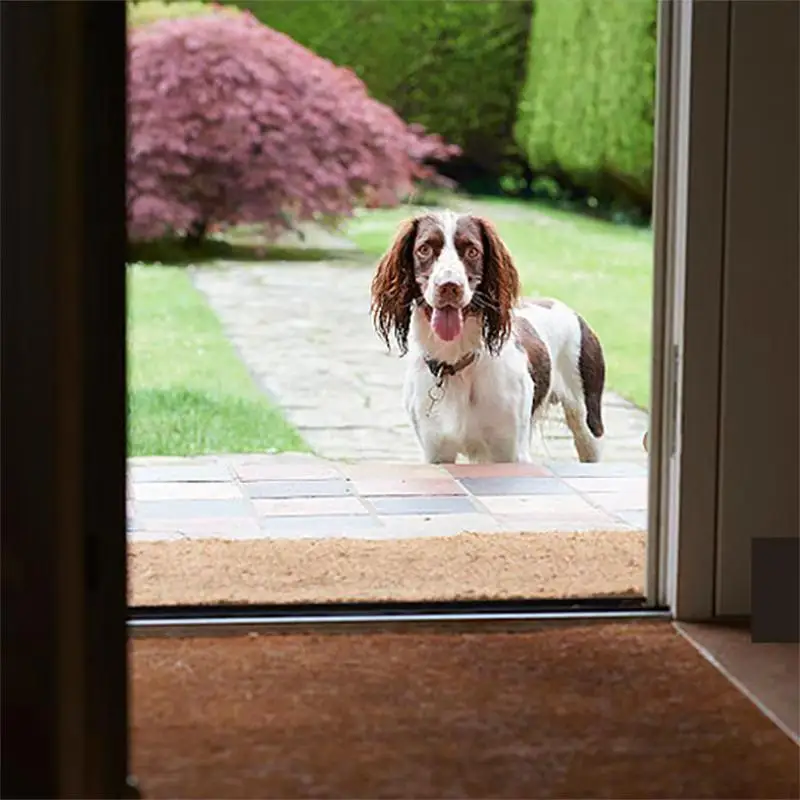 Крытый супер поглощает коврик латексной подложке Нескользящие дверной для