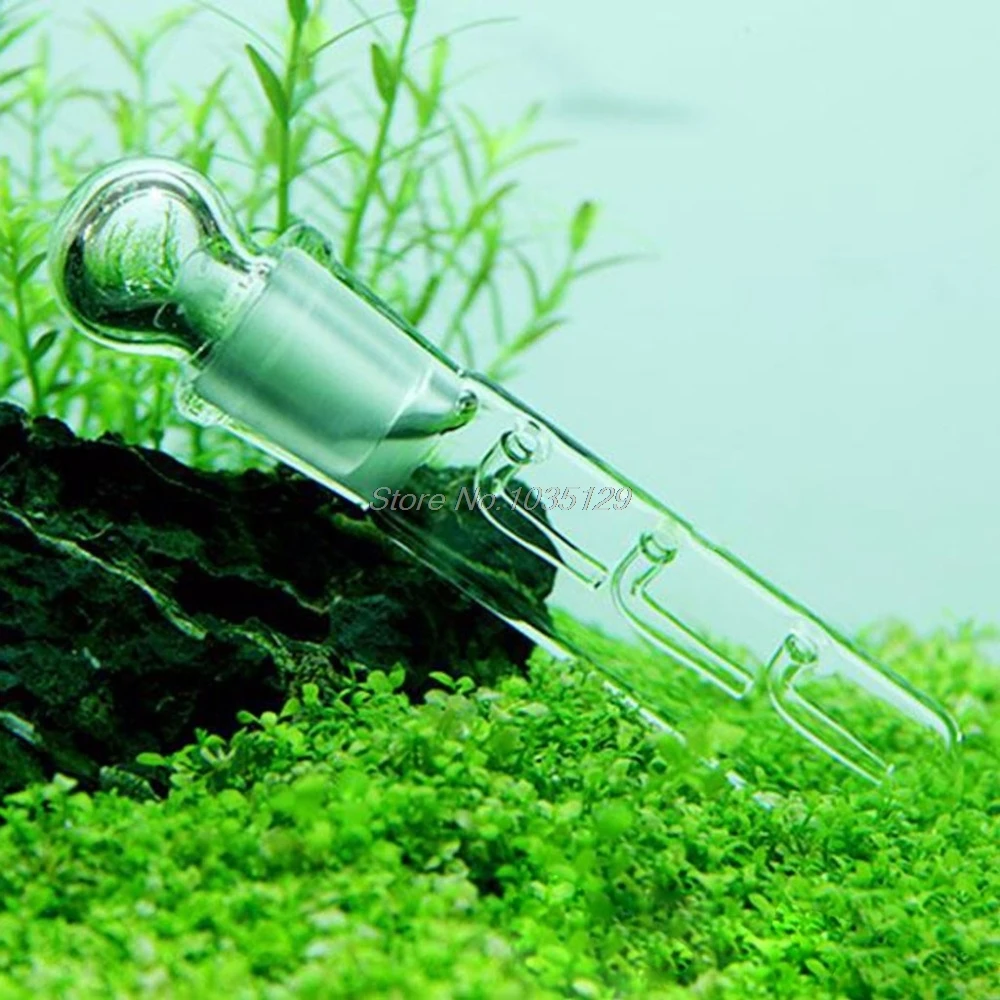 Улитка пиявка Vivarium вредителей поймать ловушка креветка червь Planaria Ловец пиявок 3