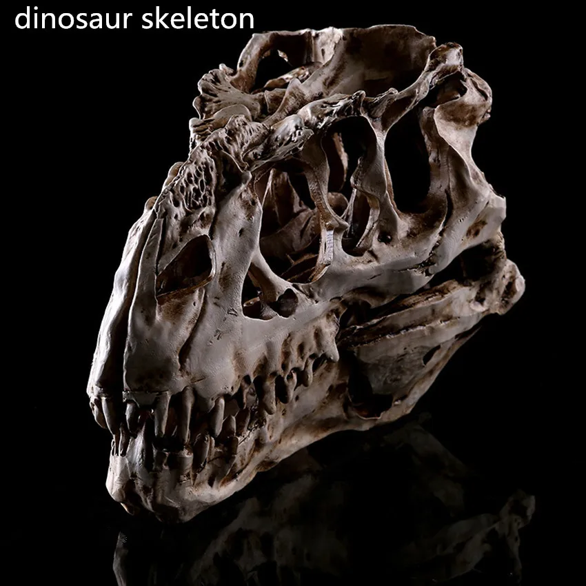 

1PC Resin Crafts Dinosaur Tooth Skull Fossil Teaching Skeleton Model Home Office Decoration Halloween Drop