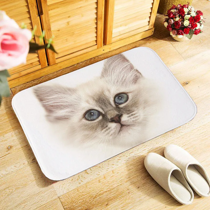 40x60 см наружный входной коврик небольшой площади коврик для спальни кухня Холл коврик антискользящий коврик для двери с мультяшным котом произведение искусства