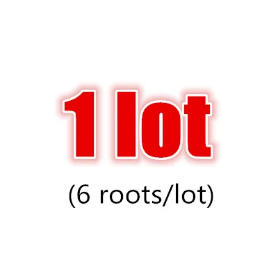 1 lot 6 корней/лот сухой корень женьшеня, и чистый натуральный, без пестицидов, Высококачественная питательная добавка, повышающая устойчивость - Цвет: 1 lot