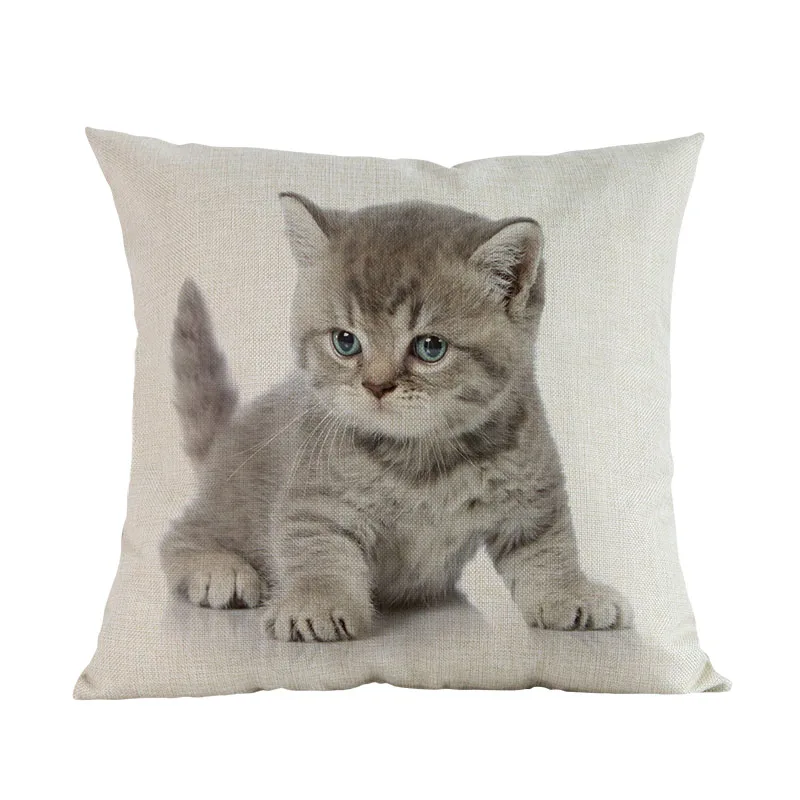 Милый маленький кот Британский Короткий волос котенок льняная короткая плюшевая