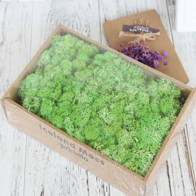 Подарочная коробка с вечными цветами из сохраняющих цветы и мхи имитация стен