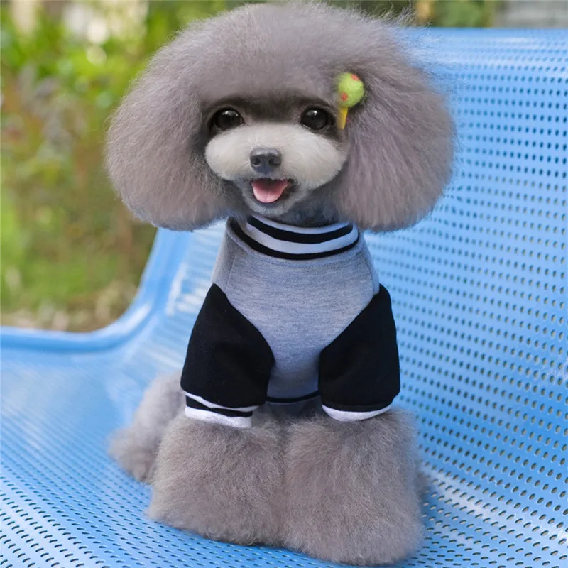 Высокое качество 6 цветов Мода щенок для отдыха Бейсбол форма классической школы