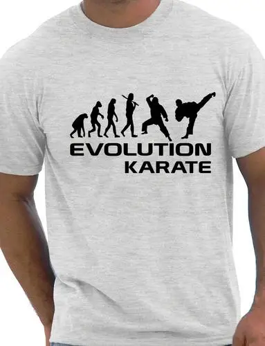 Забавная Мужская футболка evolation Of Karate подарок на день рождения большой размер и