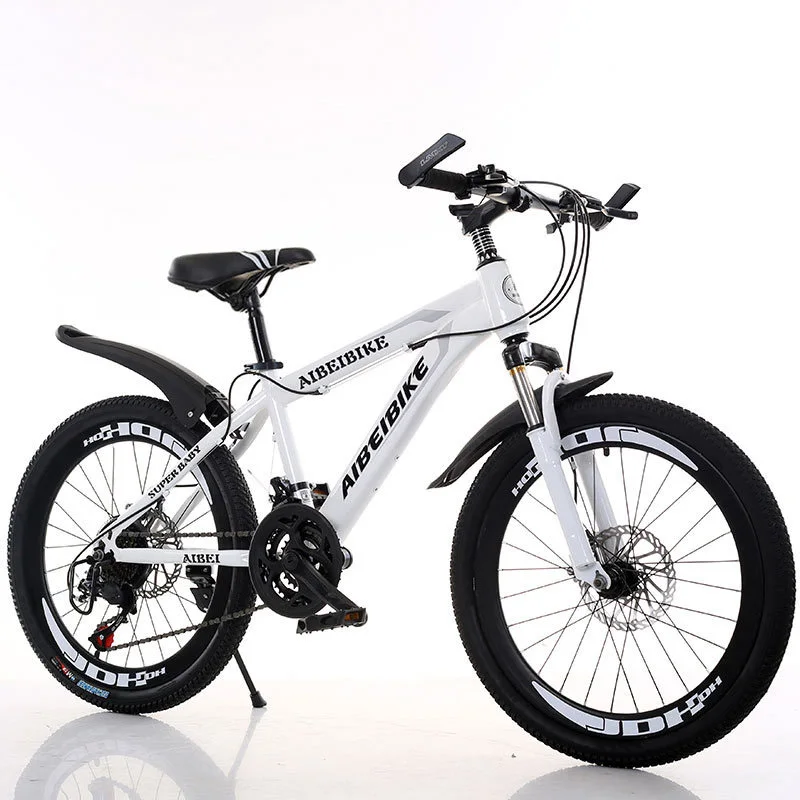Mountain Bike Students Adult Speed Change Two-Disc Brake Shock Absorber 20-Inch Mountain Bike