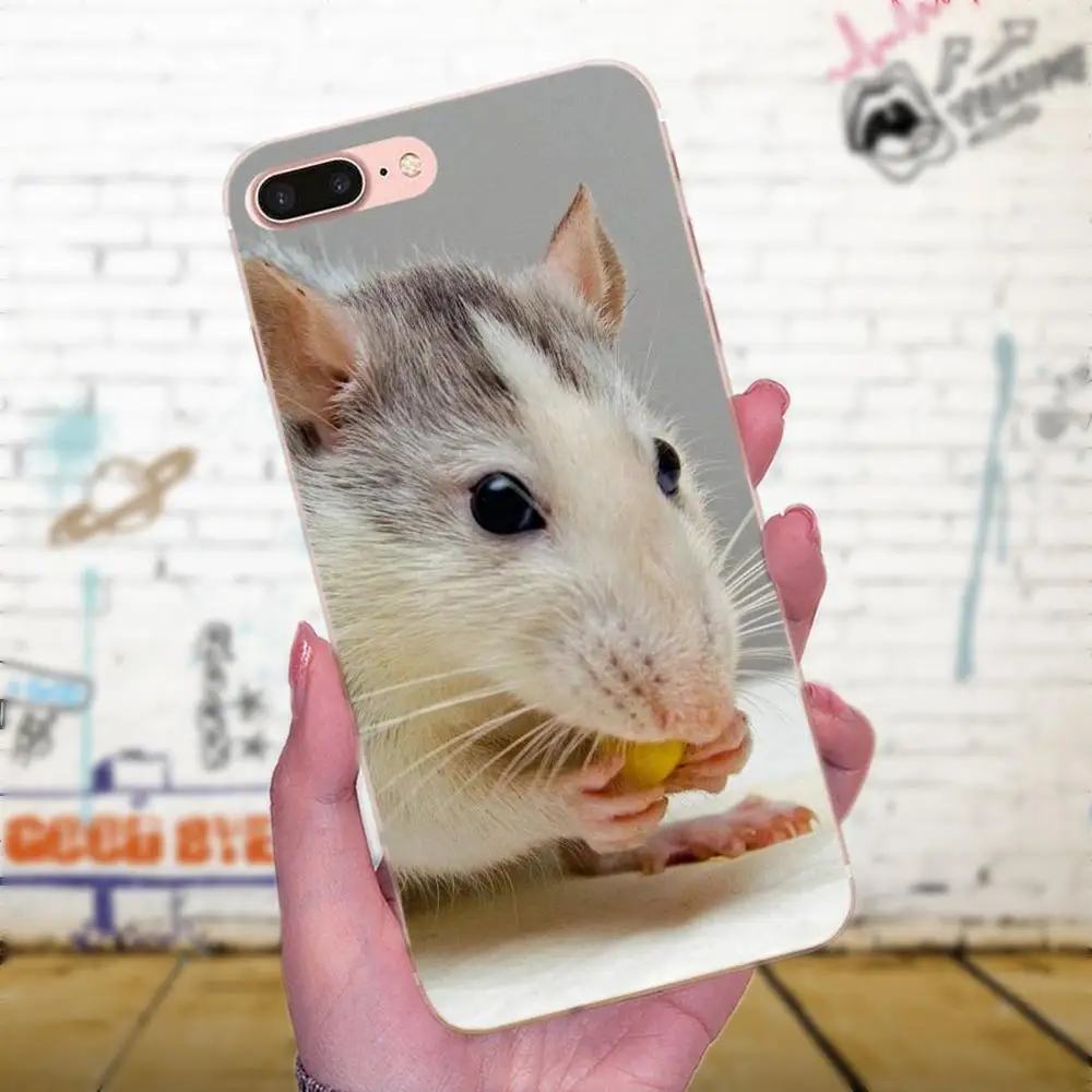 Мягкий ТПУ чехол для iPhone 4 5 5C 6 6S 7 8 Plus X XS Max XR модный сотовый Чехол с милыми