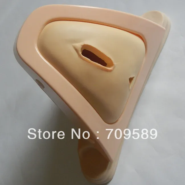 ISO усовершенствованный тренажер для резки и швов эпизиотомии|training simulator|suture training |