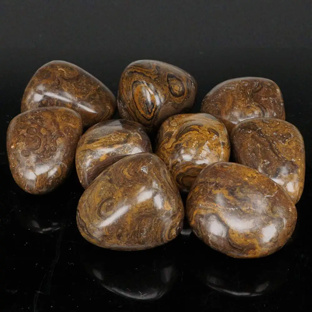 Крупными партиями ископаемого камня Stromatolite натуральная полированная