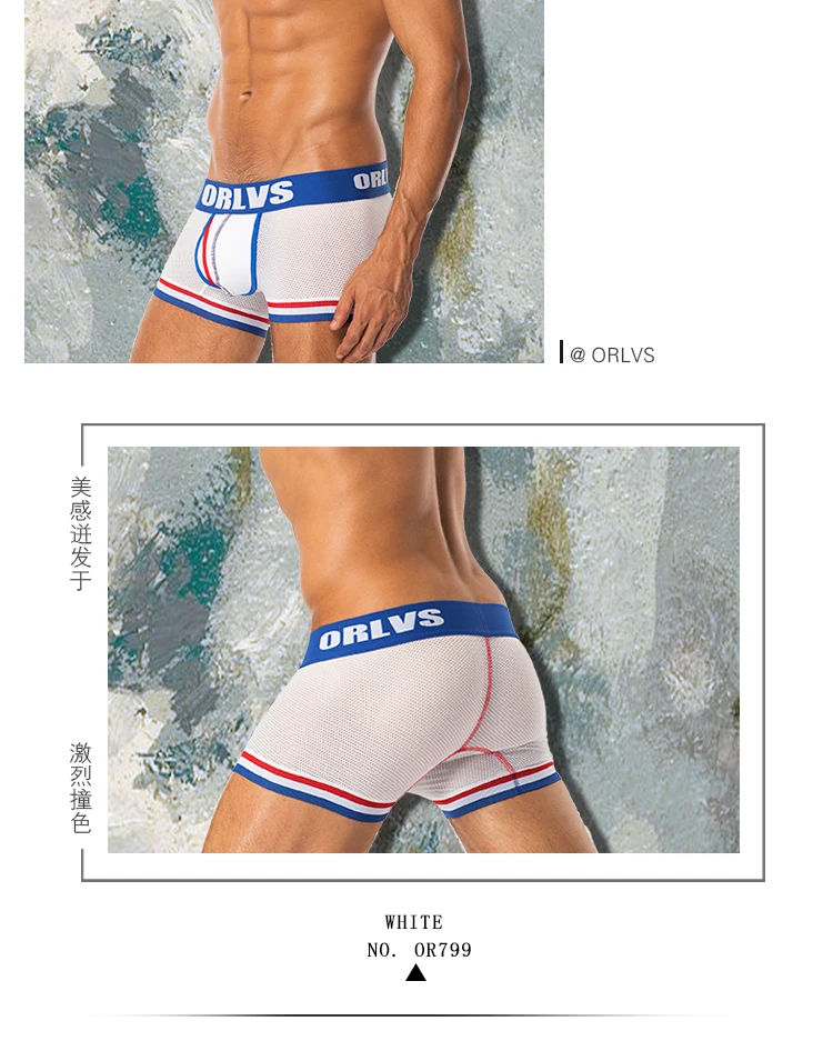 Г. пикантные мужские трусы боксеры дышащие Cueca мужские шорты трусы 2 Цвет Boxershorts 3D чехол дизайн синий OR799
