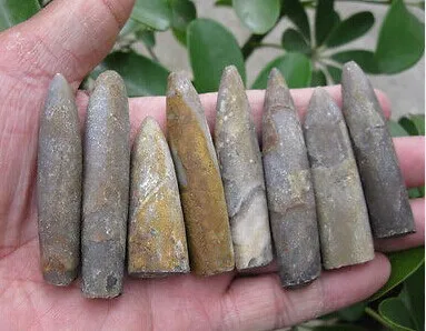 100 г натуральные Редкие образцы рыбы в виде стрелы|specimen| |